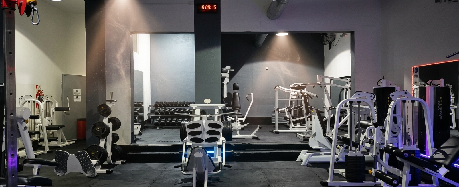 Life Fitness - galería